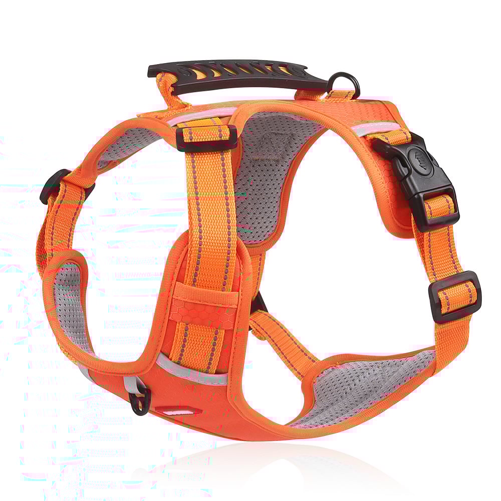 No Pull Dog Harness for Pets